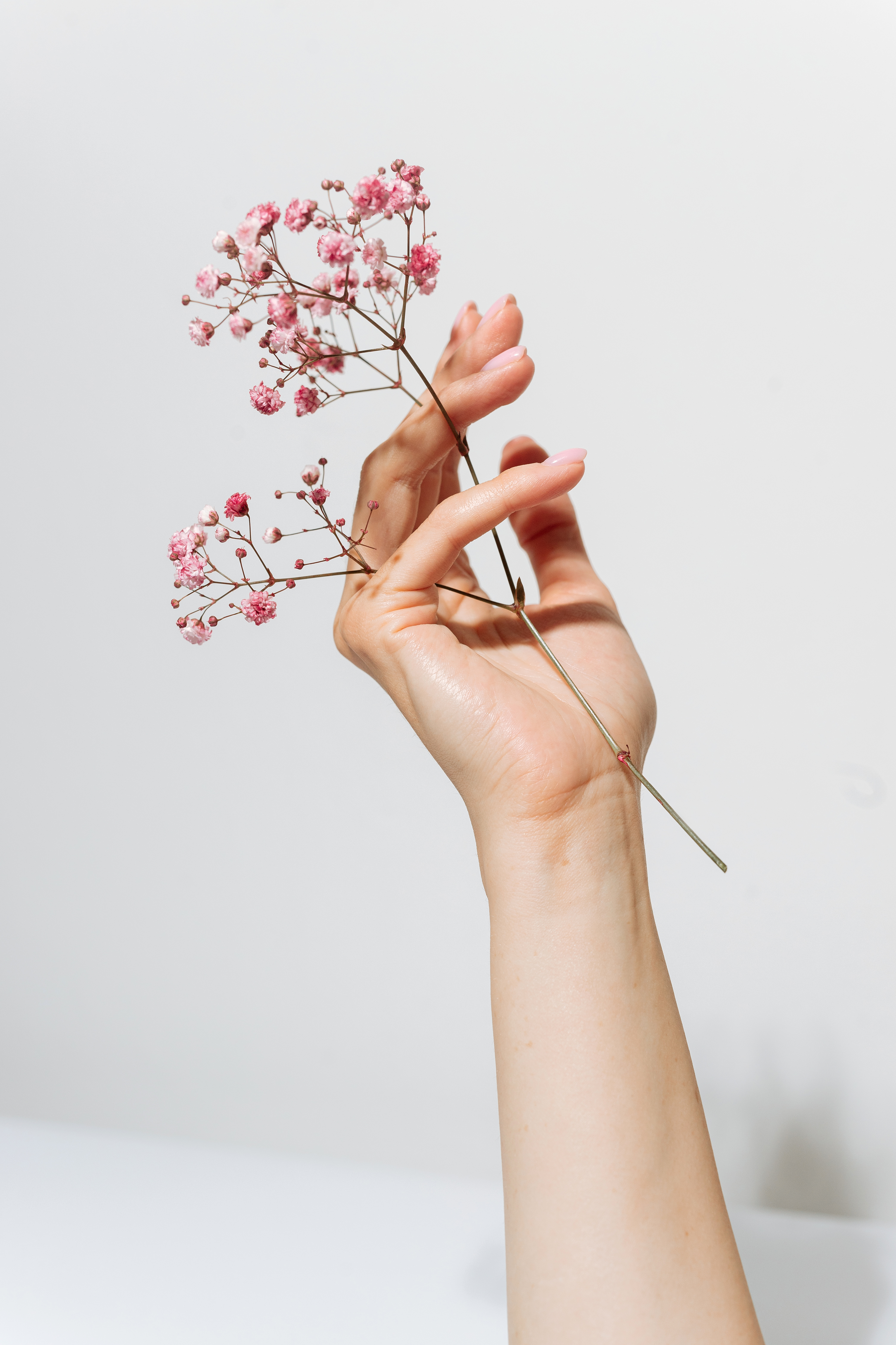 Pleťový krém Damašská růže 50ml